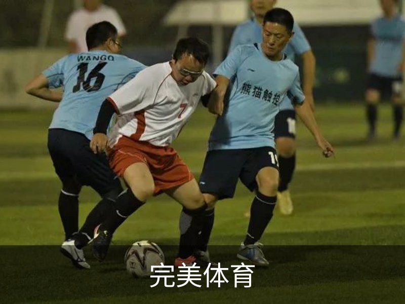 完美体育介绍